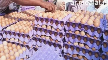 سعر البيضة 4 جنيهات.. تراجع مفاجئ في الأسواق بعد سلسلة من الارتفاعات الملحوظة